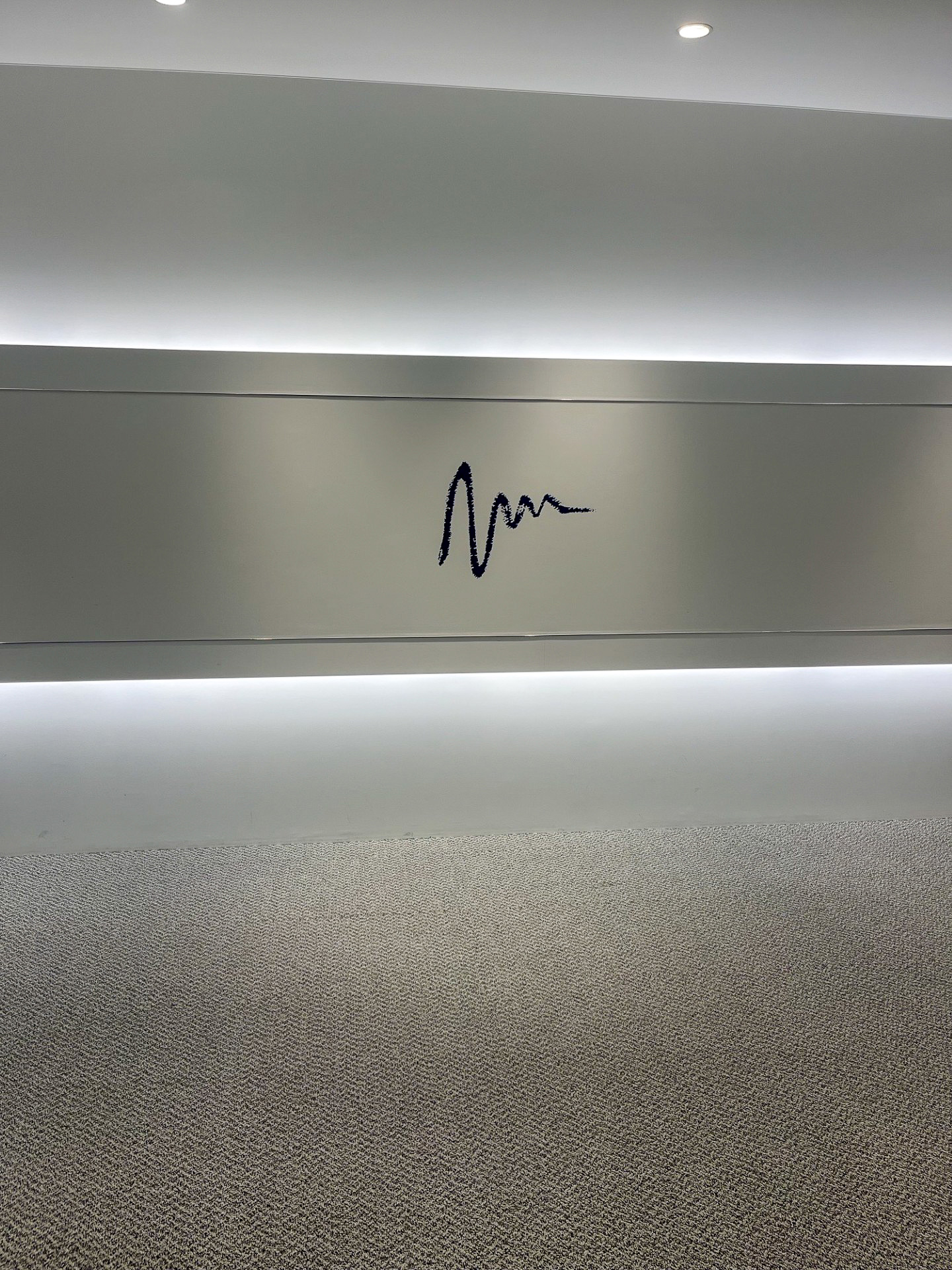 「生殖補助医療と黄体補充に関する解説動画」 撮影