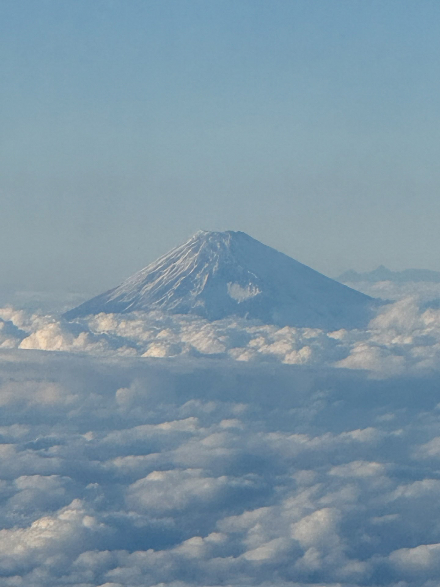 第20回日本生殖ホリスティック医療学会