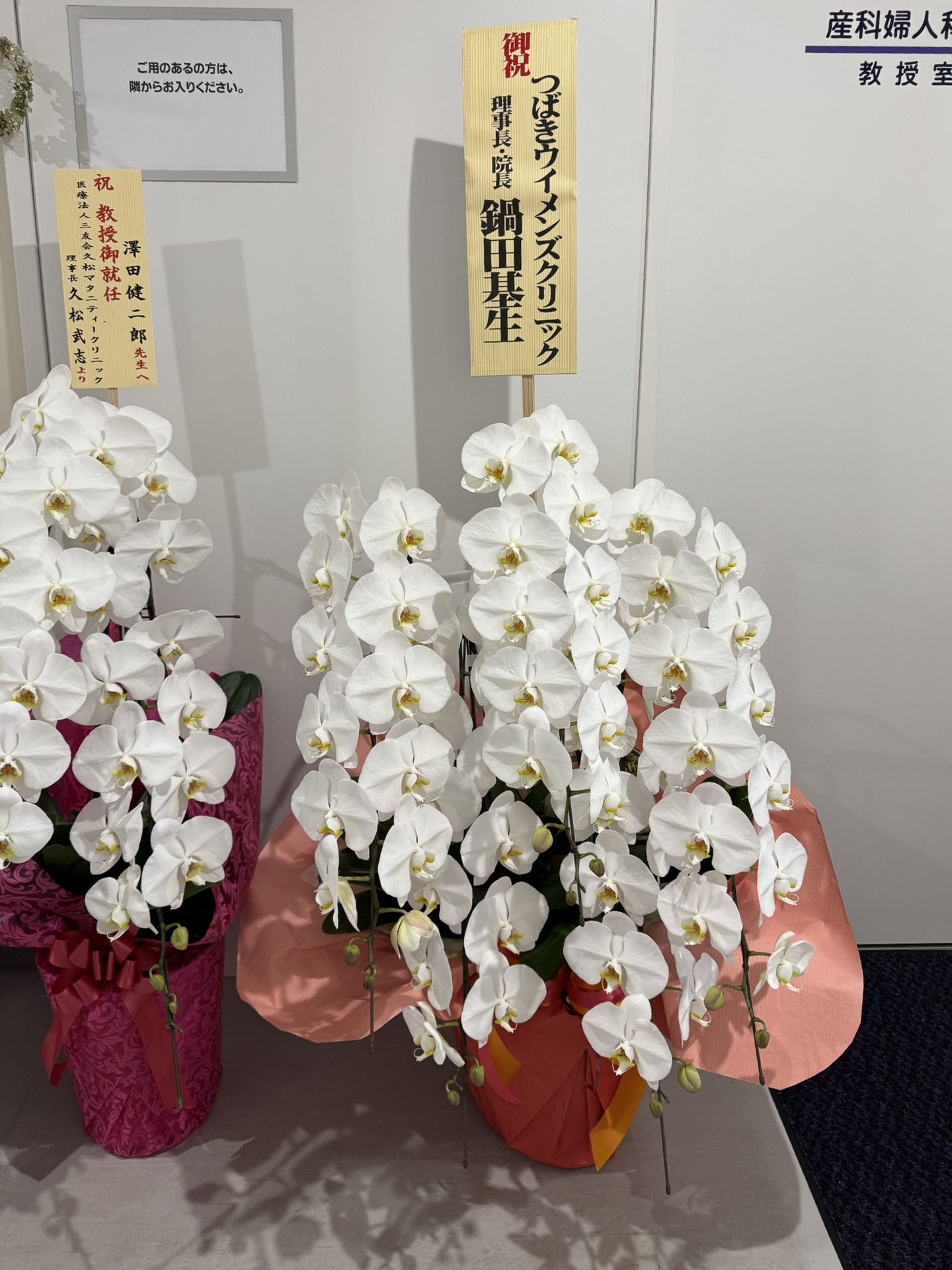 澤田教授ご就任のお祝い