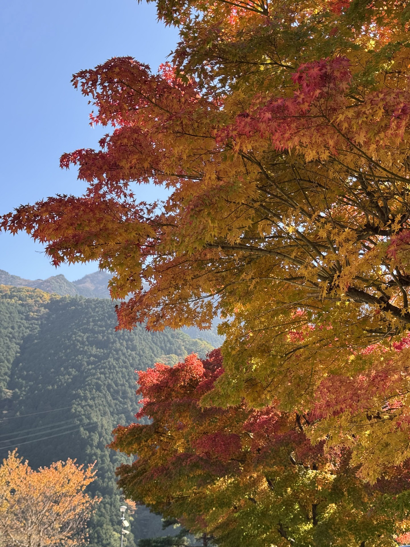 横倉義武先生(日本医師会名誉会長) スタッフ勉強会