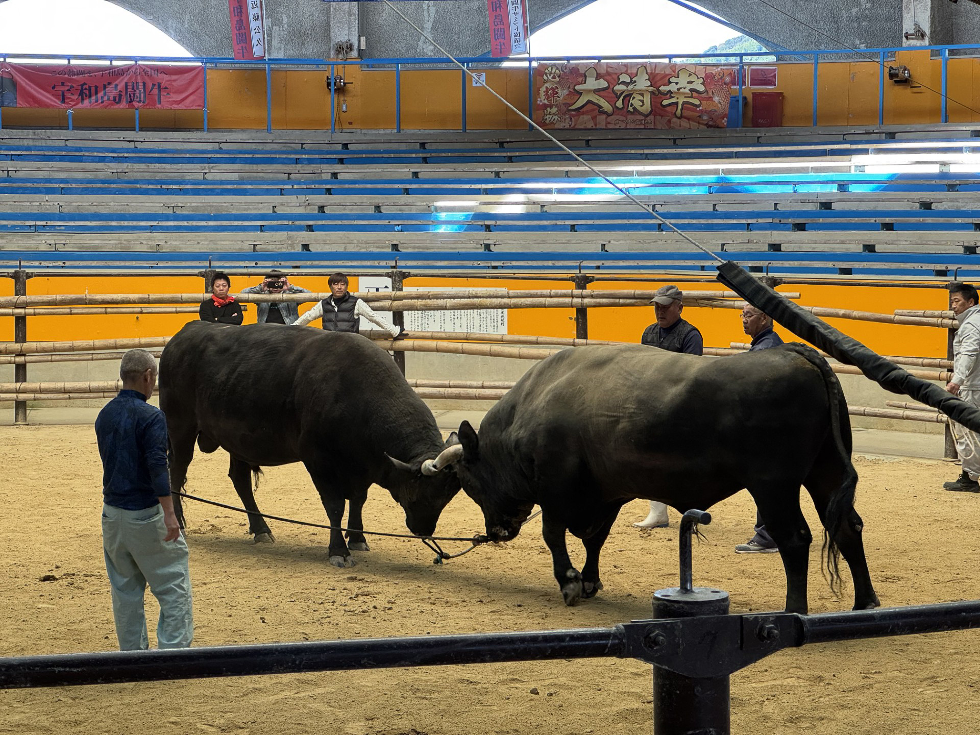 山梨大学 吉野修先生 スタッフ勉強会