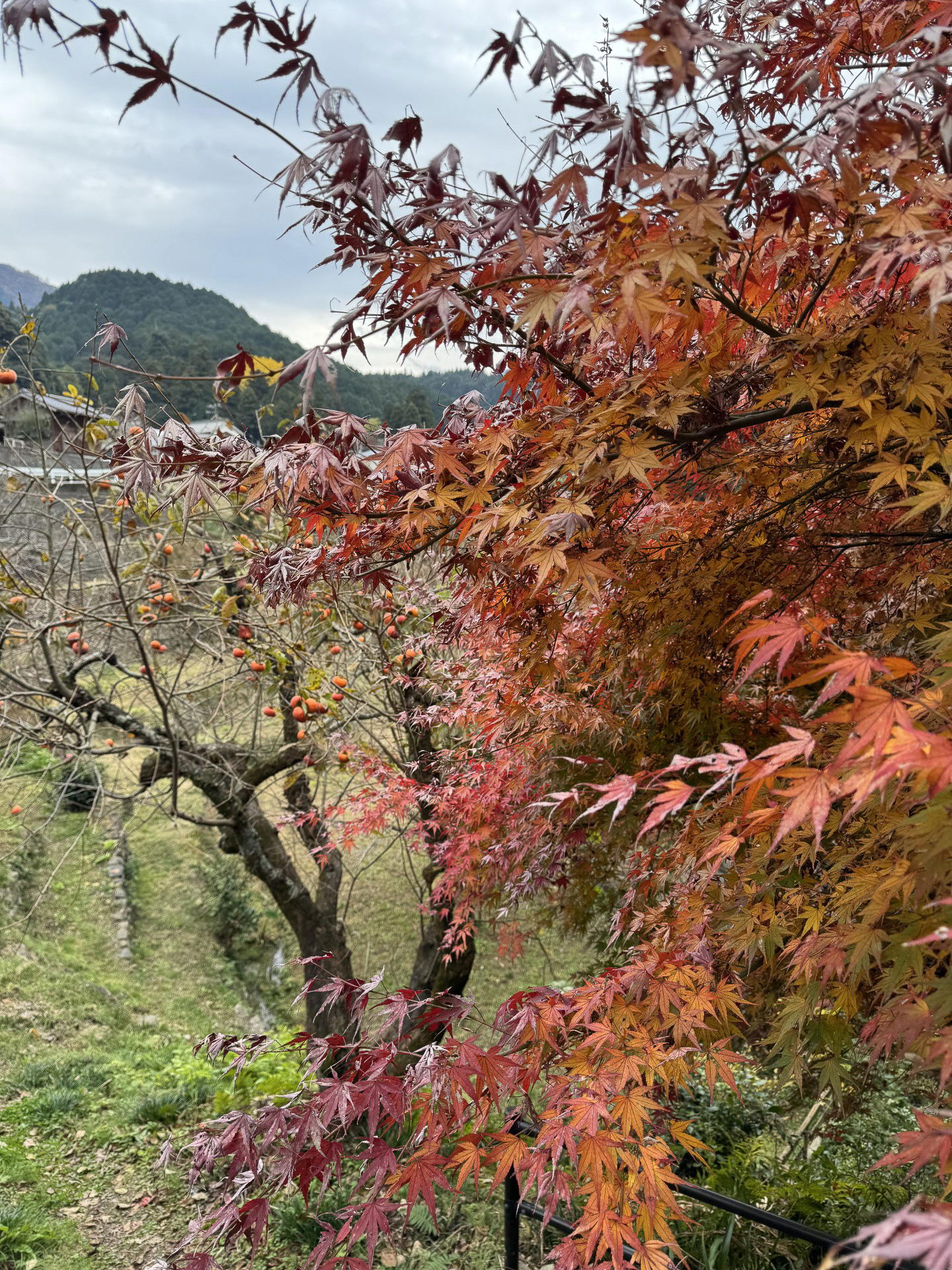 山梨大学 吉野修先生 スタッフ勉強会