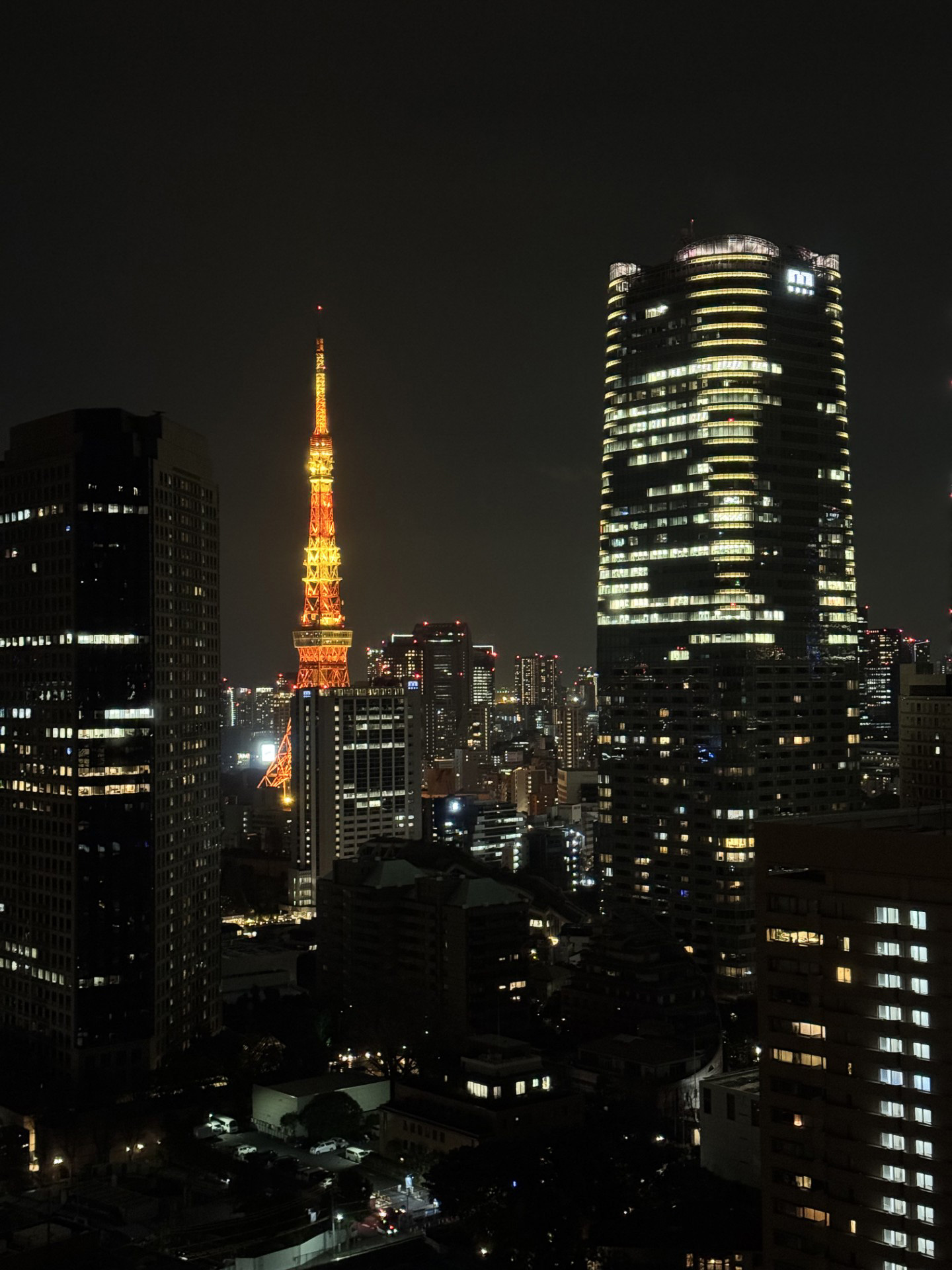 第18回抗加齢ウィメンズヘルスケア研究会